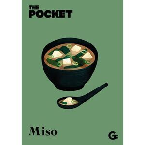 The Pocket Miso -- Gemini